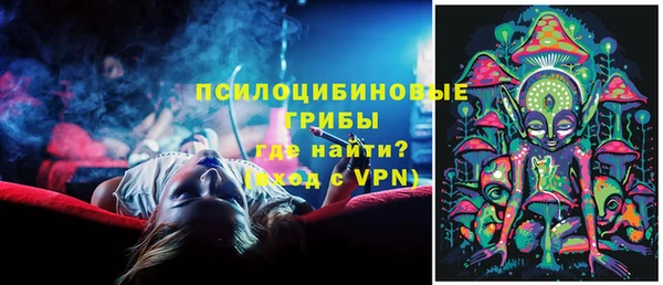 Альфа ПВП Арсеньев