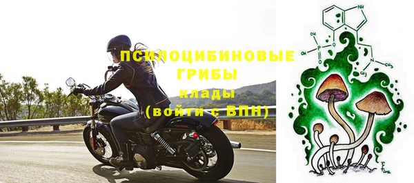 Альфа ПВП Арсеньев