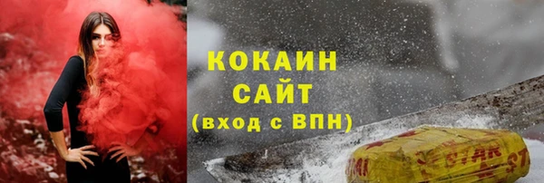 шишки Армянск