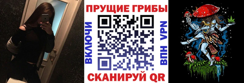 сайты даркнета какой сайт  Сретенск  Псилоцибиновые грибы MAGIC MUSHROOMS 